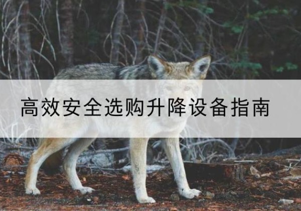 许昌升降货梯厂家推荐-*安全选购升降设备指南