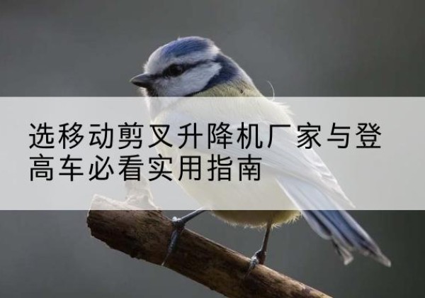 许昌电动升降机厂家-选移动剪叉升降机厂家与登高车必看实用指南